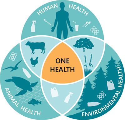 A growing crisis for One Health: Impacts of plastic pollution across layers of biological function